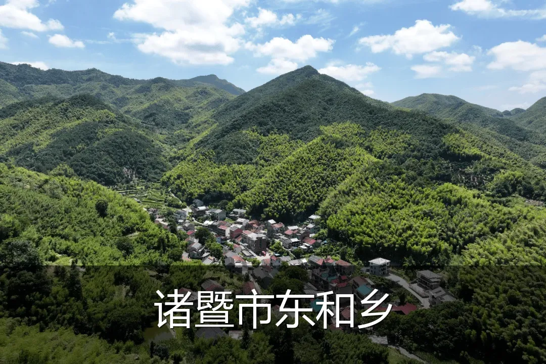 诸暨市东和乡