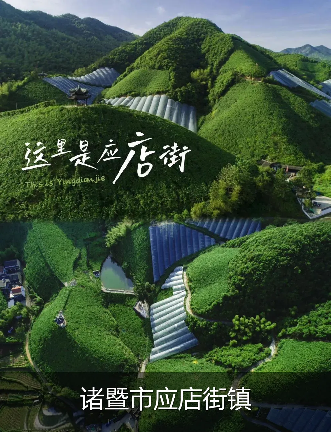 诸暨市应店街镇